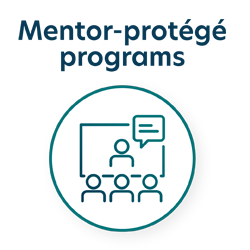 Mentor-protege programs